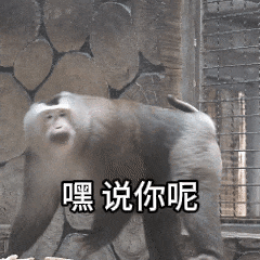  快收藏黔灵山网红猴小老费表情包,天眼新闻安排上了
