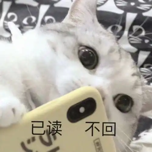 情侣聊天必备可爱表情包还发熊猫头是想吓跑对象吗