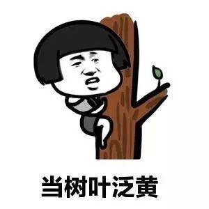 搞笑道歉表情开心笑话
