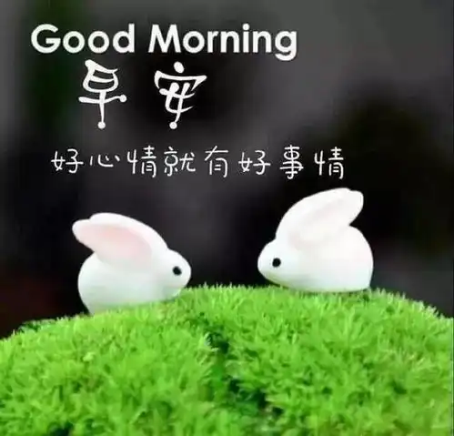  早晨问安爱你在清晨,清新爽朗柔情无限,亲爱的我爱你,早晨好