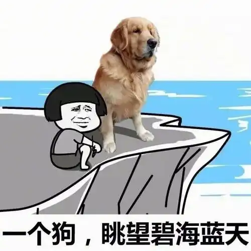  表情包一个狗,眺望碧海和蓝天