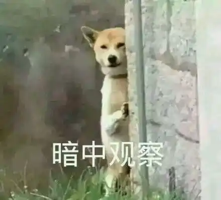  为什么我们常常能感觉到有人在注视自己