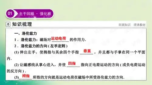  2021届一轮复习教科版第9章第2讲磁场对运动电荷的作用课件49张.ppt外包文档类资源csdn下载