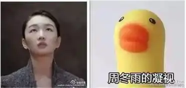  娱乐圈撞脸,有人成闺蜜有人互相斗,只有他默默在民间凑齐了一大家子