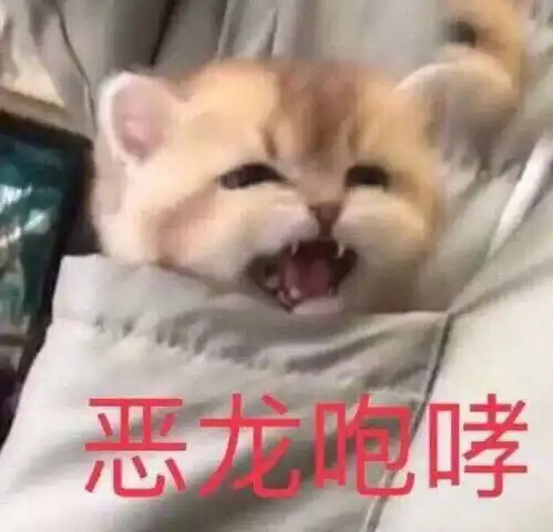  吃过六七种药罐子来一波减肥药分享就当给大家避雷吧
