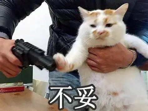  长安八景的相册那些沙雕的表情包