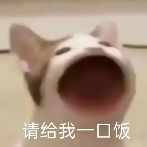  吃不掉的薯片可以用来做什么菜吗