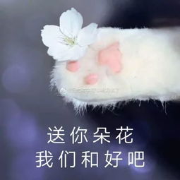  沙雕表情我虽然错了,但是原谅我就是你的问题