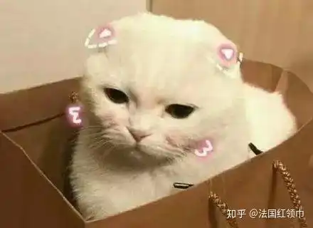  当初为什么学哲学5个坑里的师兄师姐竟然都这样说.....
