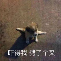  惊喜变惊吓婚礼现场,500多名宾客吓得往外跑酒店一片狼藉