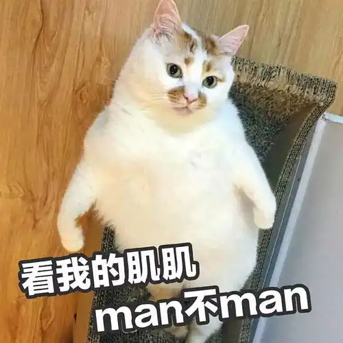  王俊凯穿上班服参加了北电的运动会,英姿飒爽广受同学好评