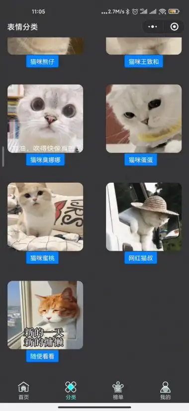  各种猫咪动态表情包,无水印爱心分享