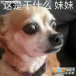  今天也要加油旺狗狗表情包下载乐游网游戏下载