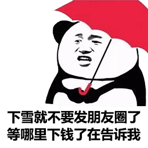  幽默搞笑表情包我抢到今年回家的票了,你呢