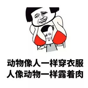  表情包那些年装逼的姿势