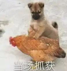 请这12个人立刻离开贵港,我们不欢迎你  请这12个人立刻离开贵港,我们不欢迎你