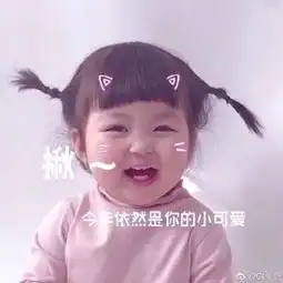 你的小可爱上线表情包罗