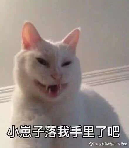  土味情话能尬到什么程度看得我头皮发麻了哈哈哈太肉麻了