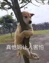  不带ta们,你到英国的第一周会很惨