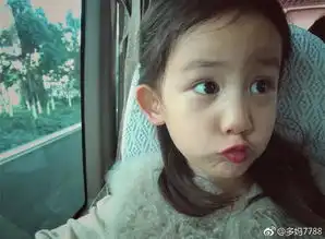  孙莉晒女儿表情包,却遭到黄磊无情调侃网友妹妹可爱人儿