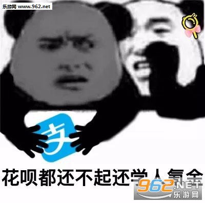  我觉得海星表情包你他妈属实飘了表情包图片下载乐游网游戏下载
