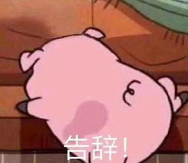  好消息云南省政府发布猪肉新政策