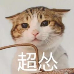  爆满棉五这家开了十几年的老店,炸鸡一块难求隔壁家的小孩儿都馋哭了