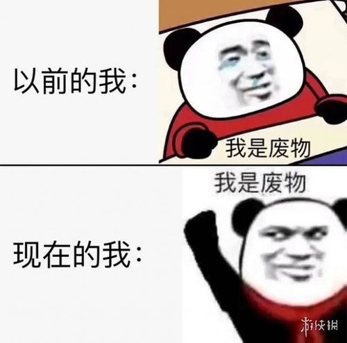 熊猫修仙表情包等级摆地