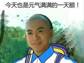  2017宝山区群众体育大会暨街球风暴活动,家年华体验项目全新升级