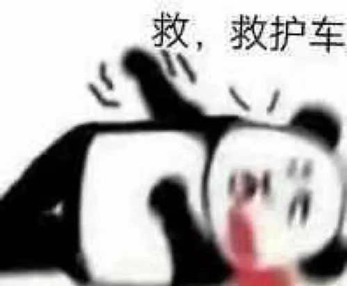  观海杂话铺473是谁旅游之前还没看过厕评帖一般人我不告诉ta