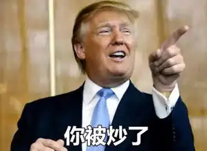  美国总统还没开选呢,川普和希拉里就已经在对决表情包了