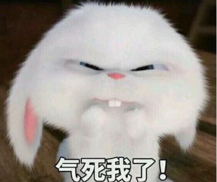  吴宣仪替小舞接胡萝卜代打,兔子不喜欢吃胡萝卜