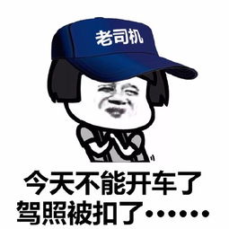  蘑菇头老司机表情包