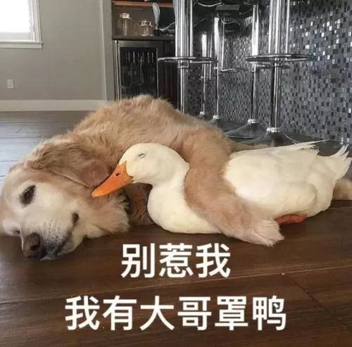  开挂了2018年重庆成绩单来了快看你的家乡都发生了哪些好事