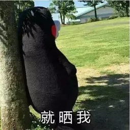  沈阳人要的雨露均沾在这儿呢