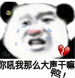  让人看后哈哈大笑的表情包真羡慕你们睡的跟小猪仔一样