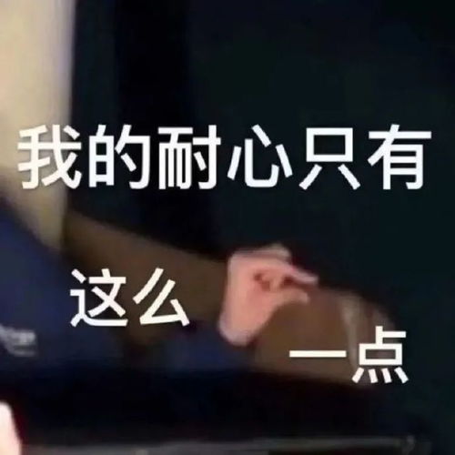  表情包分享欲是最高的浪漫主义
