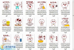  嗷大喵逗比表情包界面预览嗷大喵逗比表情包界面图片