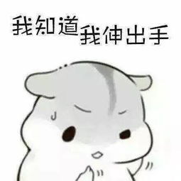  我有海量表情包,走遍天下都不怕