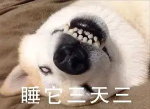  险些失传的十六招复习大法,最后一式真的绝了