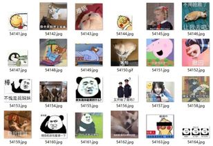  用python在某乎爬取了5w张表情包,问一句斗图谁与争锋