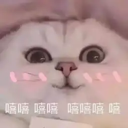  雪糕测评为你的夏日增添一抹清凉