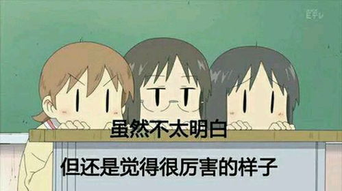  动漫表情包精选然而胸大的我早已看穿了一切