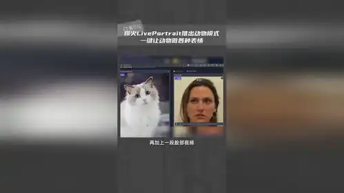 快手最火表情包你不想猫