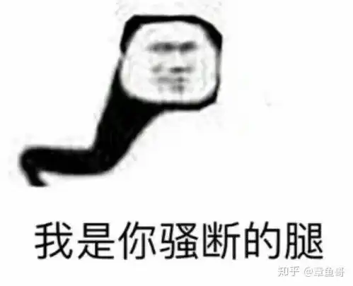 再靠近一点点的表情包熊