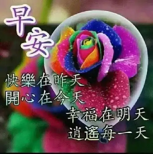  中老年表情包生命,是一树花开,或安静或热烈