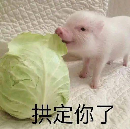  脸似奥特曼泪如兰州拉面...作家们都写过哪些笑死人的魔幻比喻