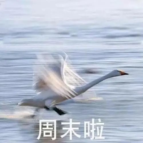  短时阵雨,局的就是你周末还能好好玩耍吗