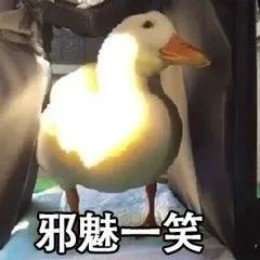  比心鸭子全套表情包分享