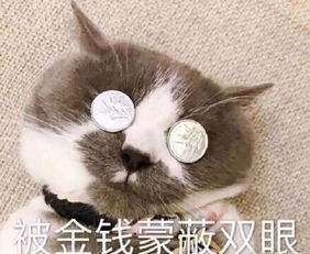  wherewasi不是在问我在哪真正意思是